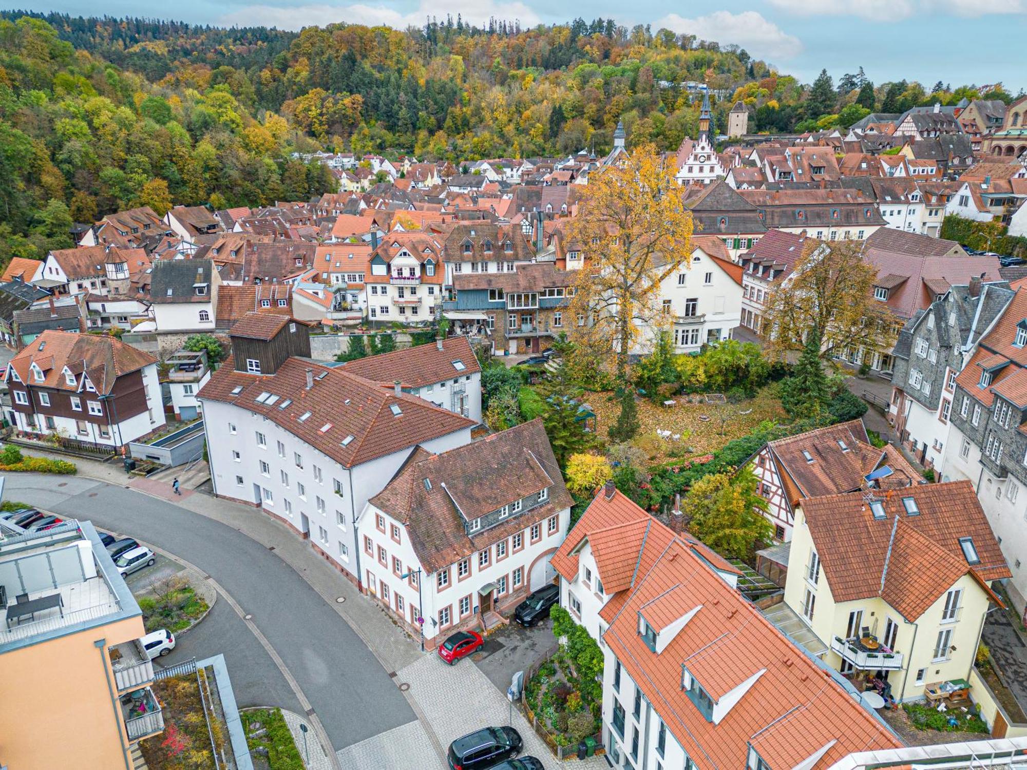 Lit Living Weinheim Altstadt - Boutique Apartments - Parking Zewnętrze zdjęcie