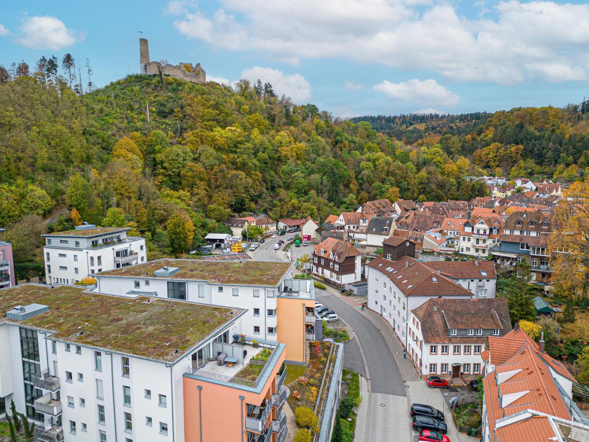 Lit Living Weinheim Altstadt - Boutique Apartments - Parking Zewnętrze zdjęcie